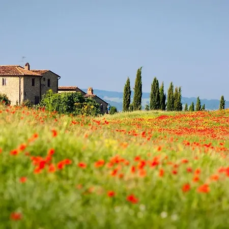 Great With A Lovely Patio *