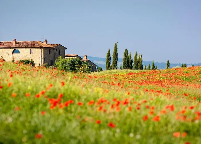 Great With A Lovely Patio *